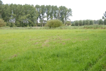 Fläche 1: NSG Kalktuffgelände, Kartoffelstegwiese am Birnbaumring (Blankenfelde)