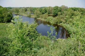 Fläche 4: NSG Niedermoorwiesen, Köppchensee mit Altobstanlagen (Blankenfelde)