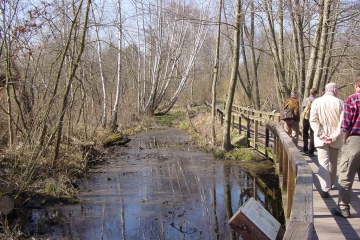 Fläche 6: Eichwerder Steg am ehemaligen Großen Hermsdorfer See (Hermsdorf)