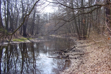 Fläche 10: Titusweg (Waidmannslust)