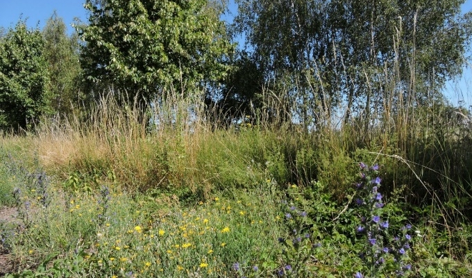 Sandmauerreste eines alten Absatzbeckens