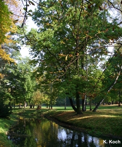 Schlosspark Niederschönhausen mit der Panke